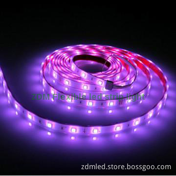 beautiful purple ip20 smd 5050 12v led lighting for indoor lighting